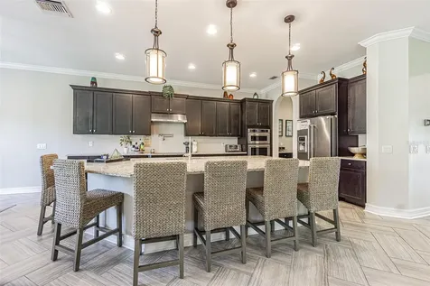 32139 Firemoss Lane Wesley Chapel FL 33543