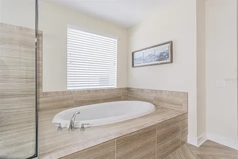 32139 Firemoss Lane Wesley Chapel FL 33543