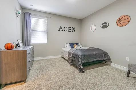 32139 Firemoss Lane Wesley Chapel FL 33543