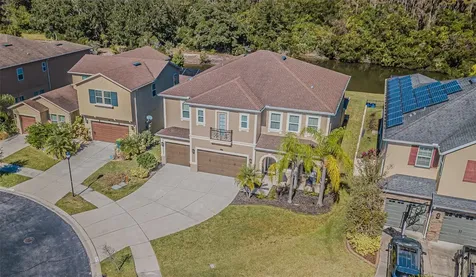 32139 Firemoss Lane Wesley Chapel FL 33543