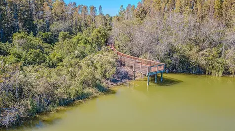 32139 Firemoss Lane Wesley Chapel FL 33543