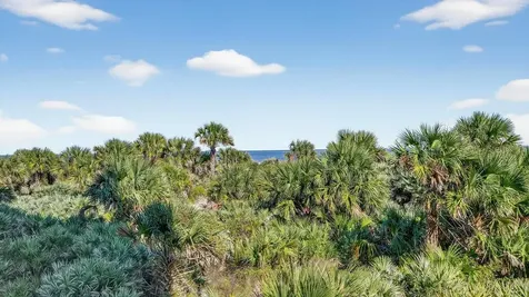 255 Minorca Beach Way New Smyrna Beach FL 32169