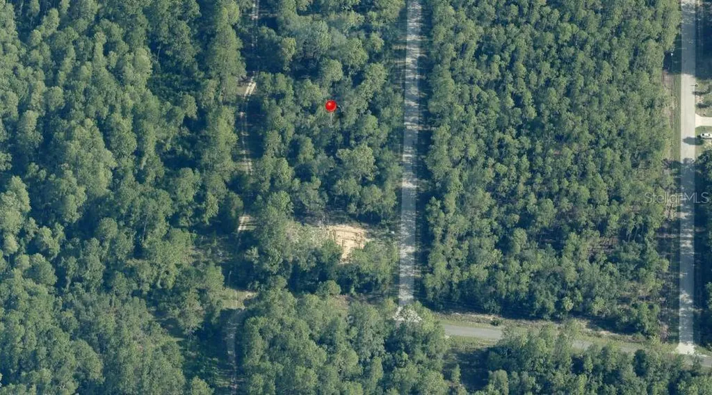Tbd SW South Water Court Dunnellon FL 34431