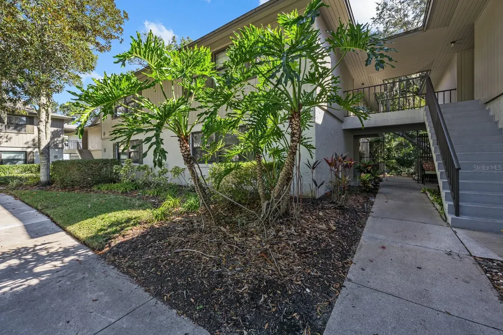 37 Alcira Court St Augustine FL 32086