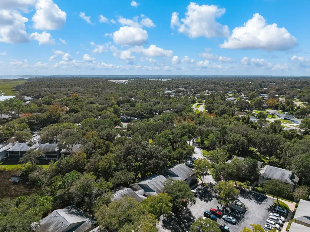 37 Alcira Court St Augustine FL 32086