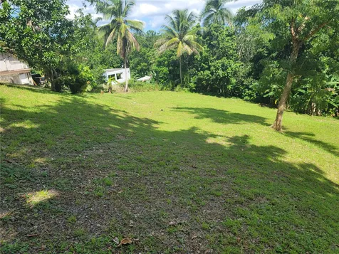 Carr 829, Km 2.3 Bo. Buena Vista Bayamon PR 00956