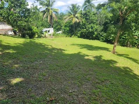 Carr 829, Km 2.3 Bayamon PR 00956