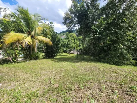 Carr 829, Km 2.3 Bayamon PR 00956