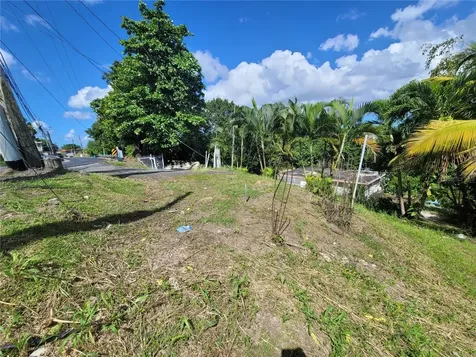 Carr 829, Km 2.3 Bayamon PR 00956