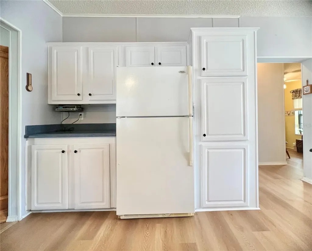 51 Pindo Palm Street E Largo FL 33770