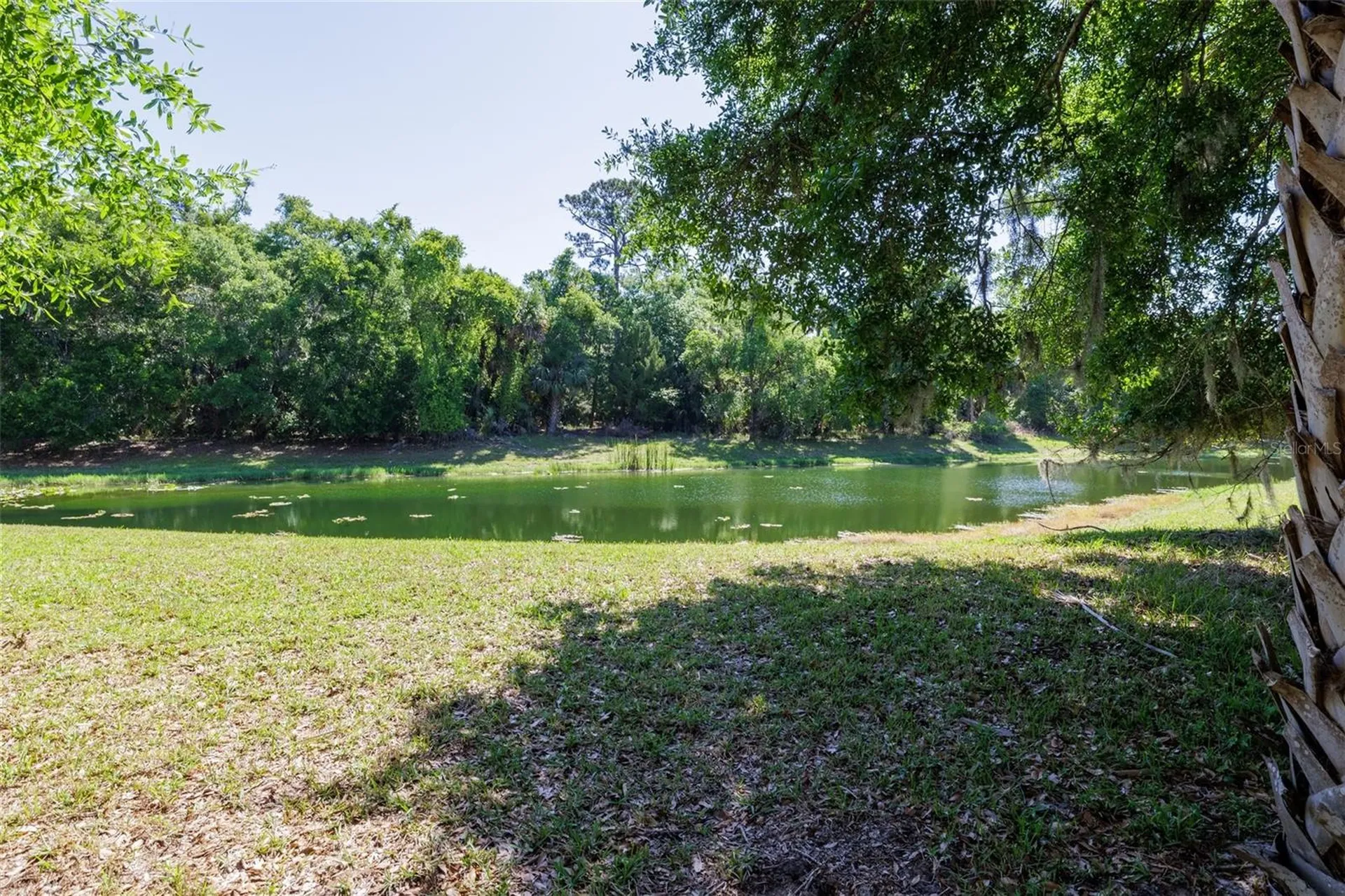 58 Emerald Oaks Lane Ormond Beach FL 32174