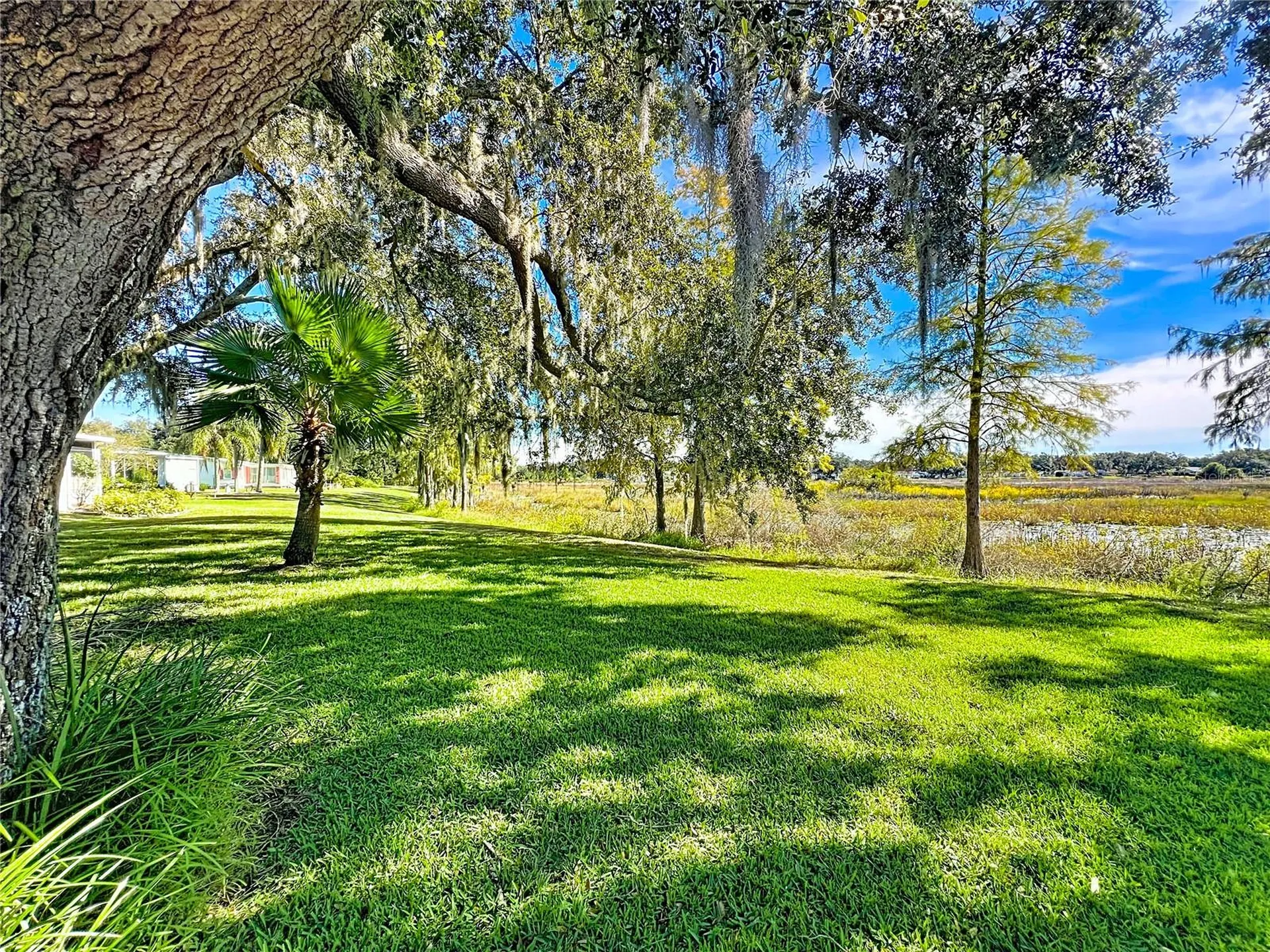 4712 Belle Grove Leesburg FL 34748