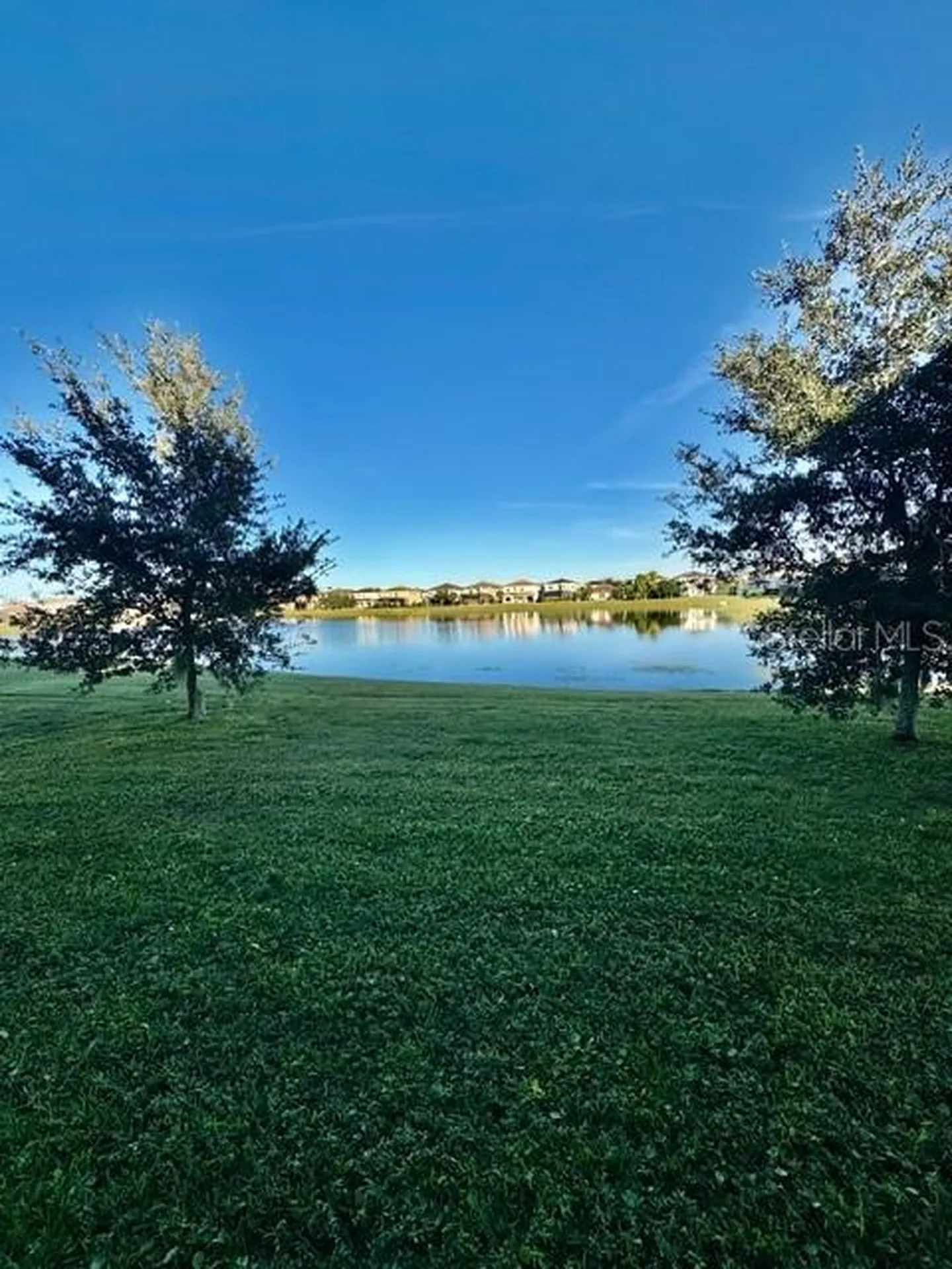 10264 Henbury Street Orlando FL 32832