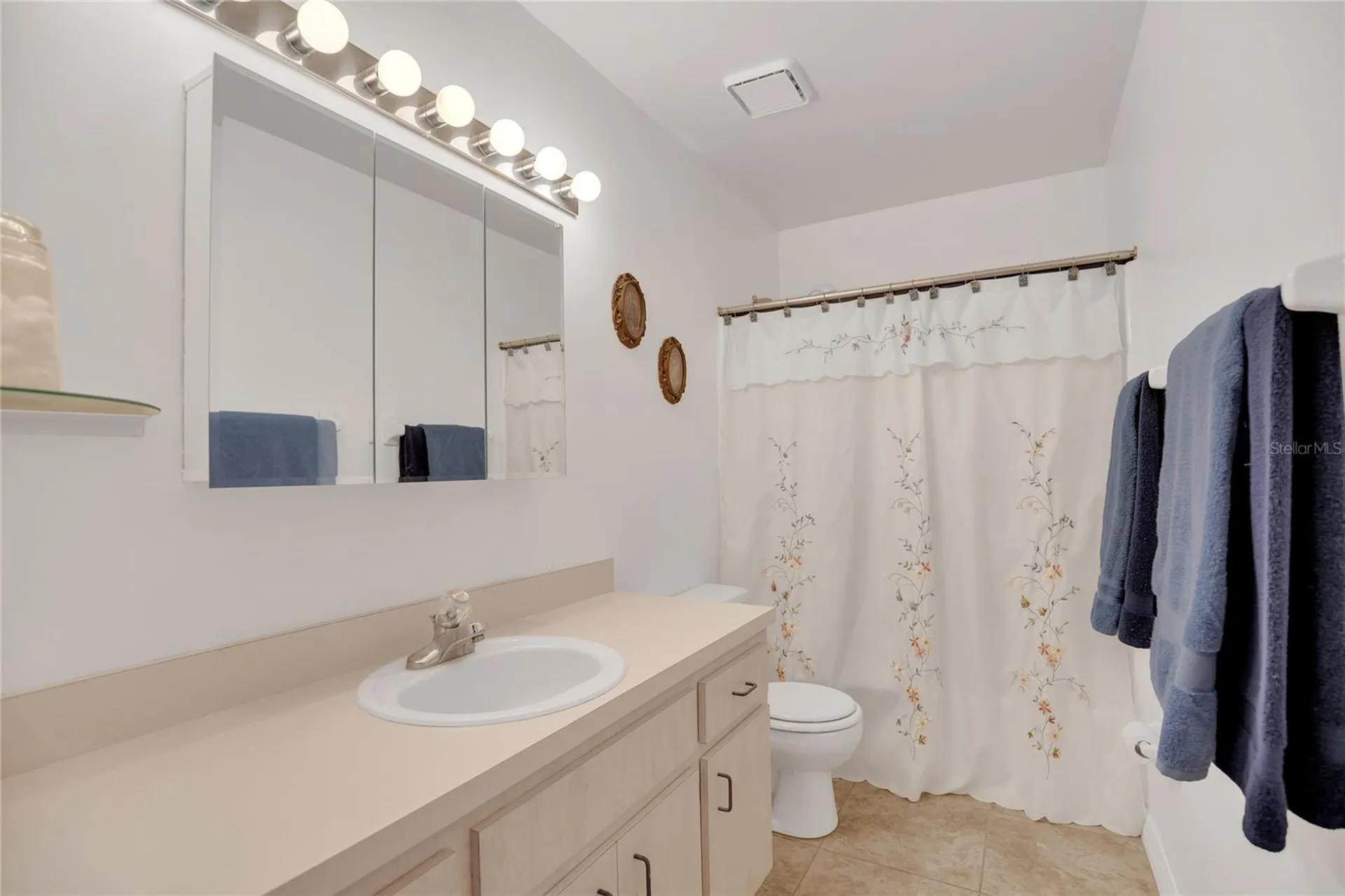 131 Willow Brook Drive Leesburg FL 34748