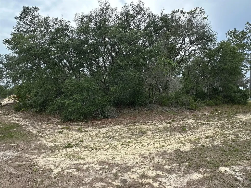 SW 168th Loop Ocala FL 34473