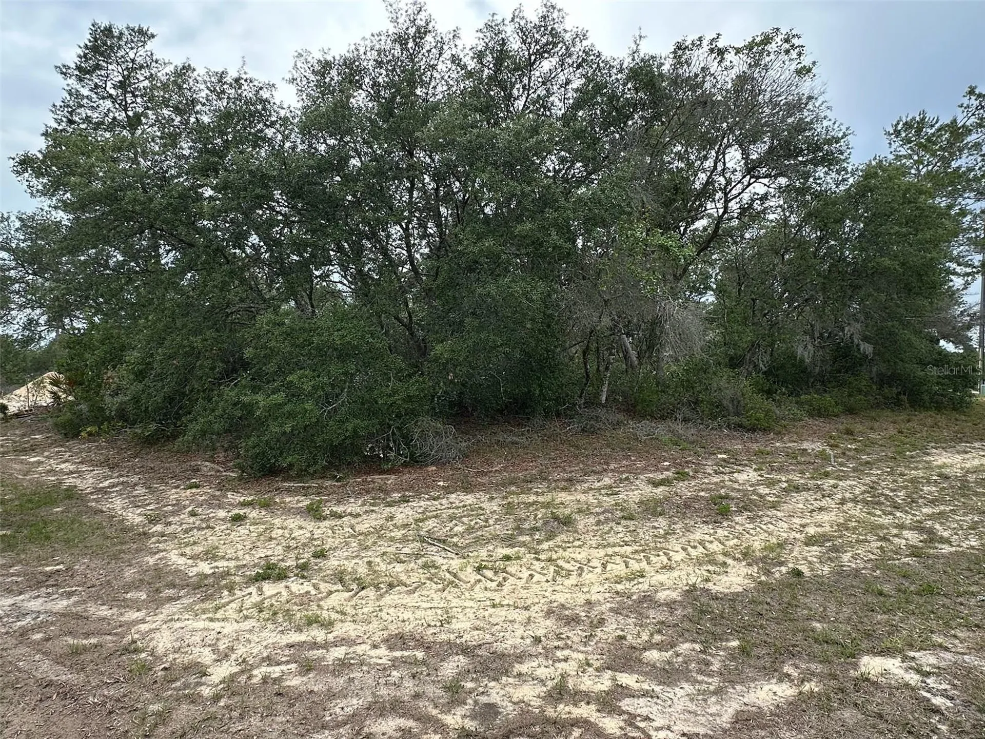 SW 168th Loop Ocala FL 34473