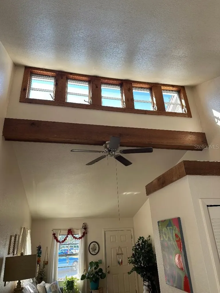 744 Mease Plaza Dunedin FL 34698