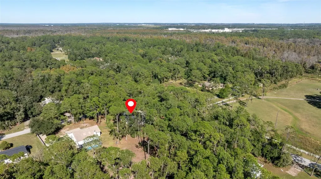 27944 Green Willow Run Wesley Chapel FL 33544