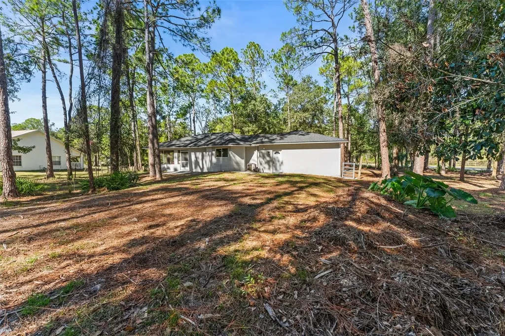 27944 Green Willow Run Wesley Chapel FL 33544