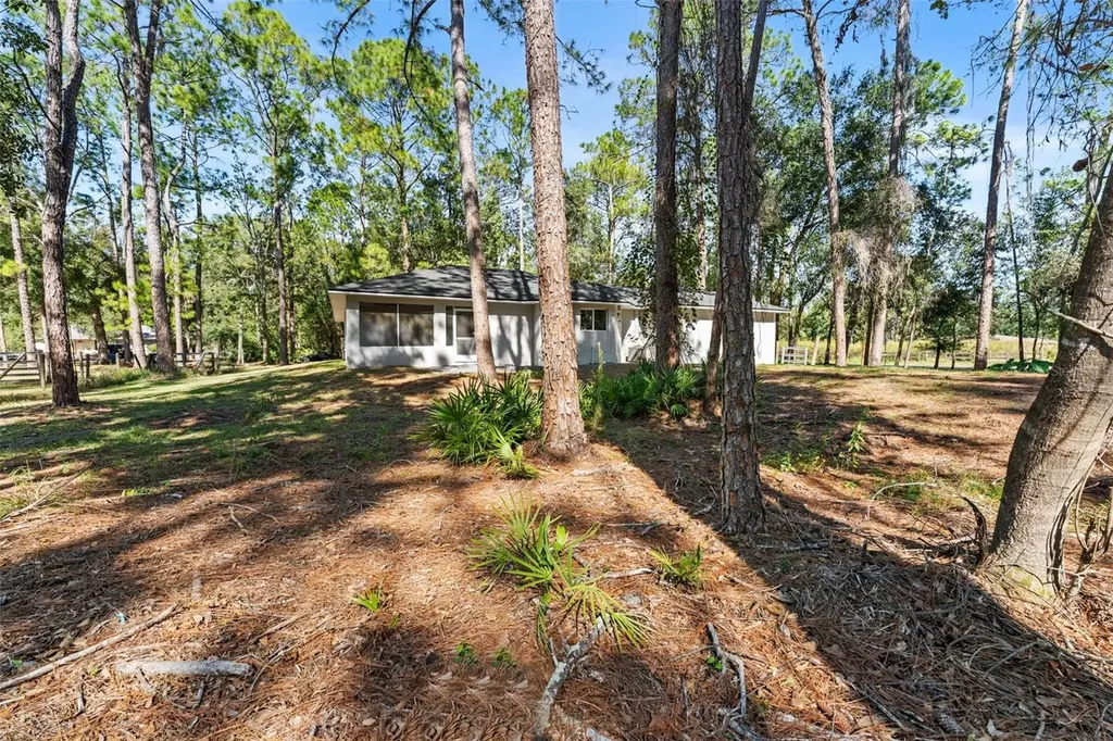 27944 Green Willow Run Wesley Chapel FL 33544