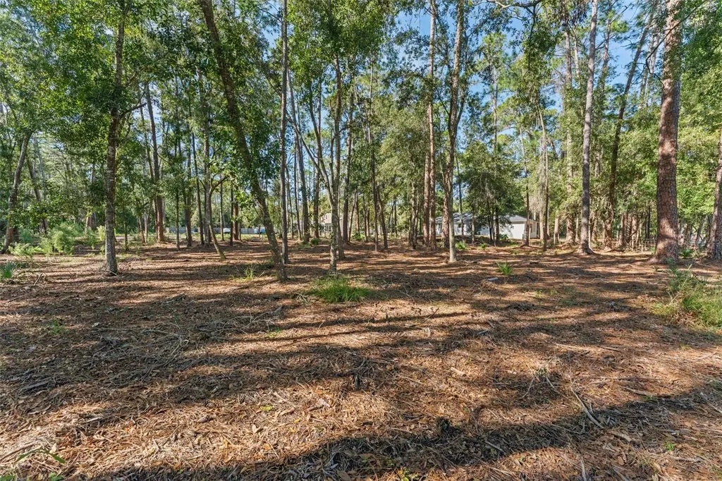 27944 Green Willow Run Wesley Chapel FL 33544