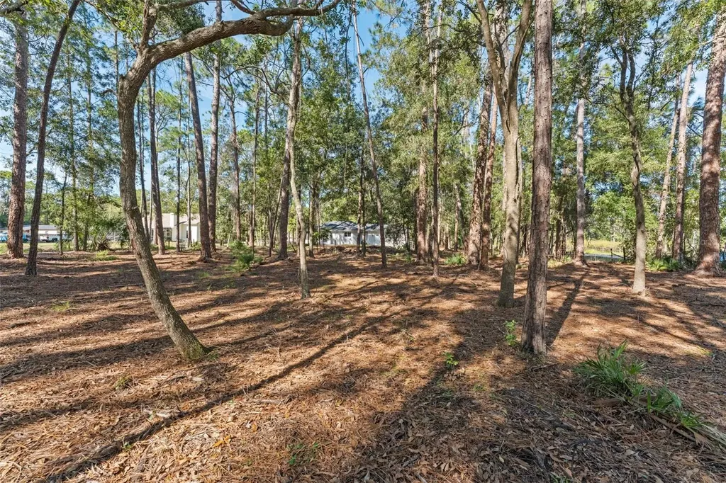 27944 Green Willow Run Wesley Chapel FL 33544