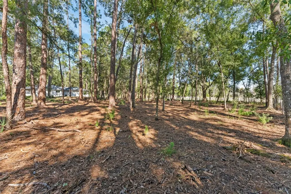 27944 Green Willow Run Wesley Chapel FL 33544