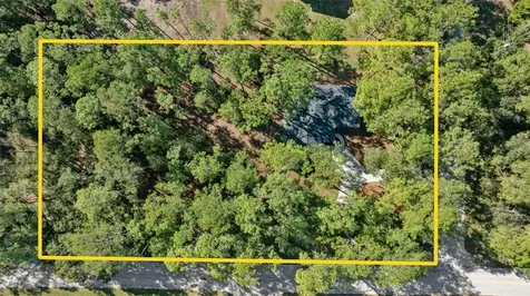 27944 Green Willow Run Wesley Chapel FL 33544