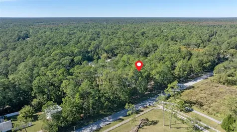 27944 Green Willow Run Wesley Chapel FL 33544