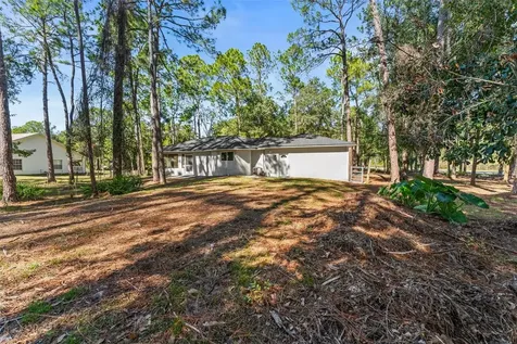 27944 Green Willow Run Wesley Chapel FL 33544