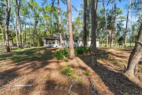 27944 Green Willow Run Wesley Chapel FL 33544