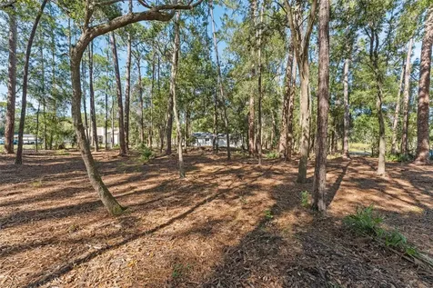 27944 Green Willow Run Wesley Chapel FL 33544