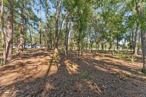 27944 Green Willow Run Wesley Chapel FL 33544