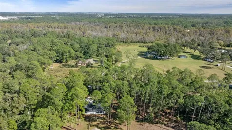 27944 Green Willow Run Wesley Chapel FL 33544