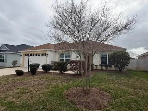 618 Nielsen Place The Villages FL 32163