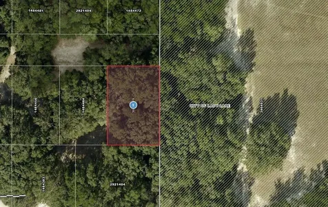 Del Mar Drive Lady Lake FL 32159