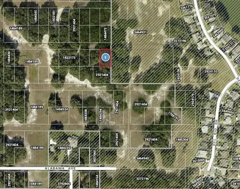 Del Mar Drive Lady Lake FL 32159
