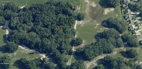 Del Mar Drive Lady Lake FL 32159