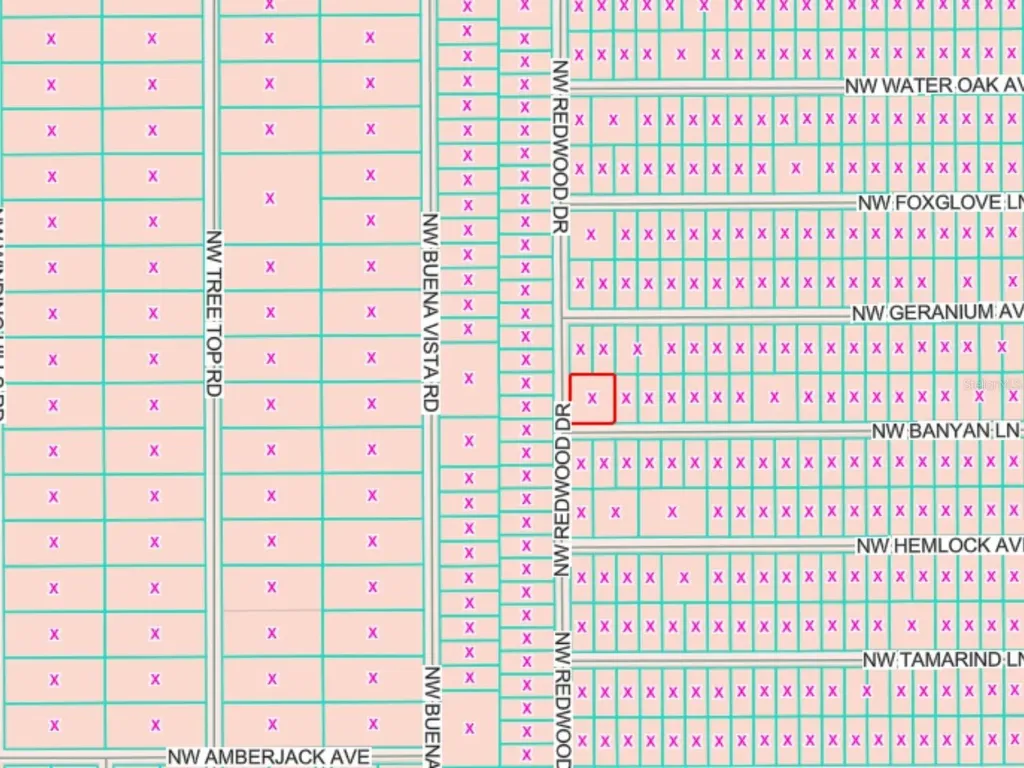 Lots 65 & 66 NW Banyan Lane Dunnellon FL 34431
