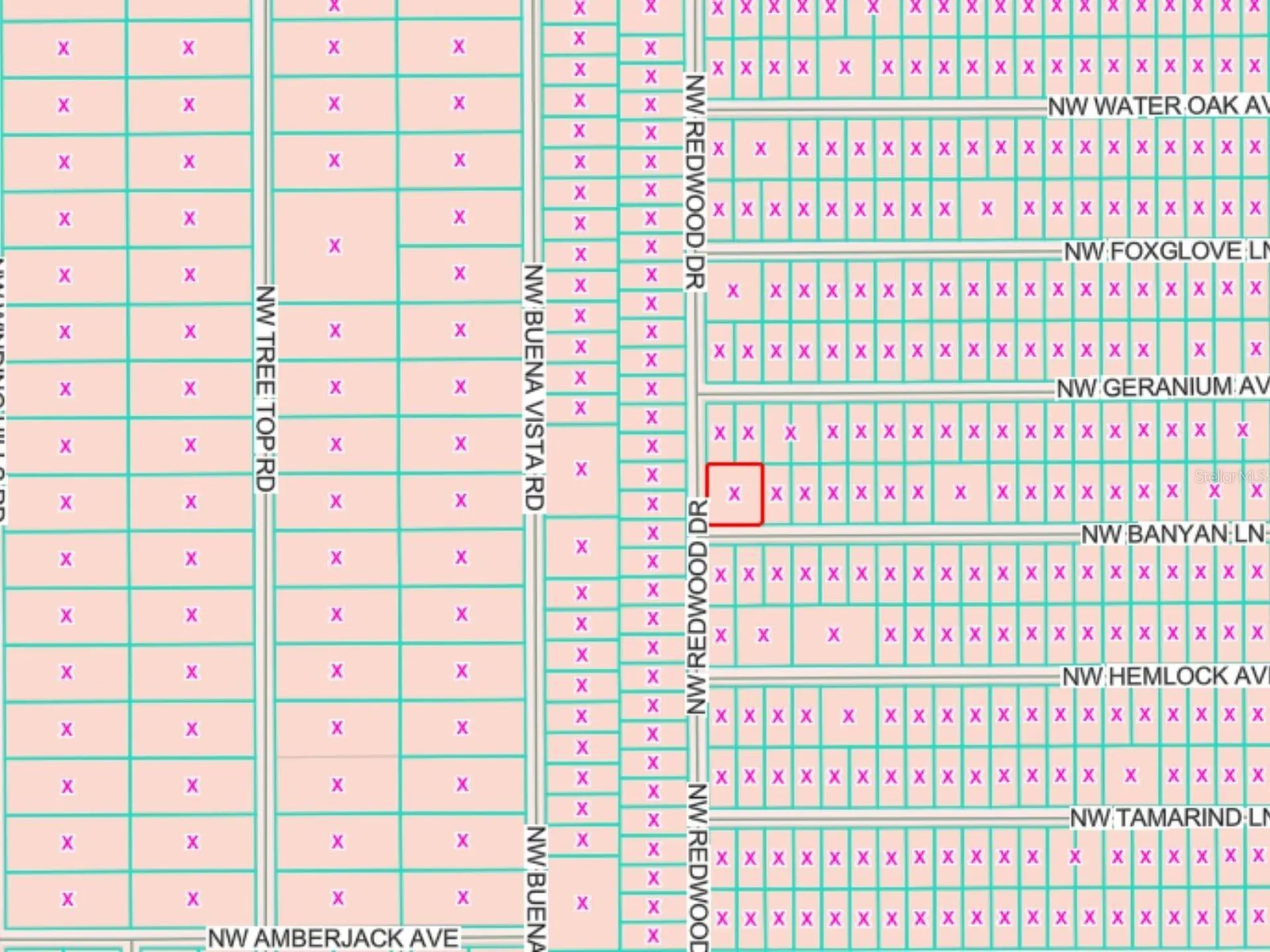 Lots 65 & 66 NW Banyan Lane Dunnellon FL 34431