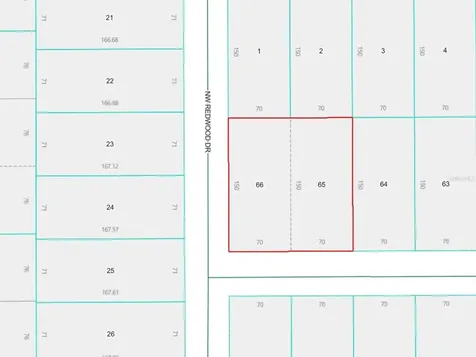 Lots 65 & 66 NW Banyan Lane Dunnellon FL 34431