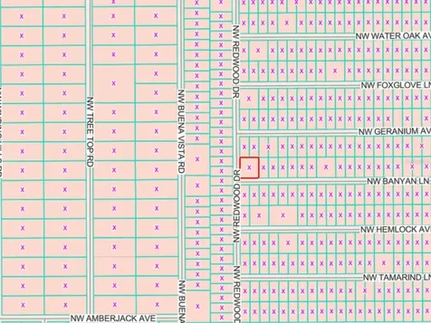 Lots 65 & 66 NW Banyan Lane Dunnellon FL 34431
