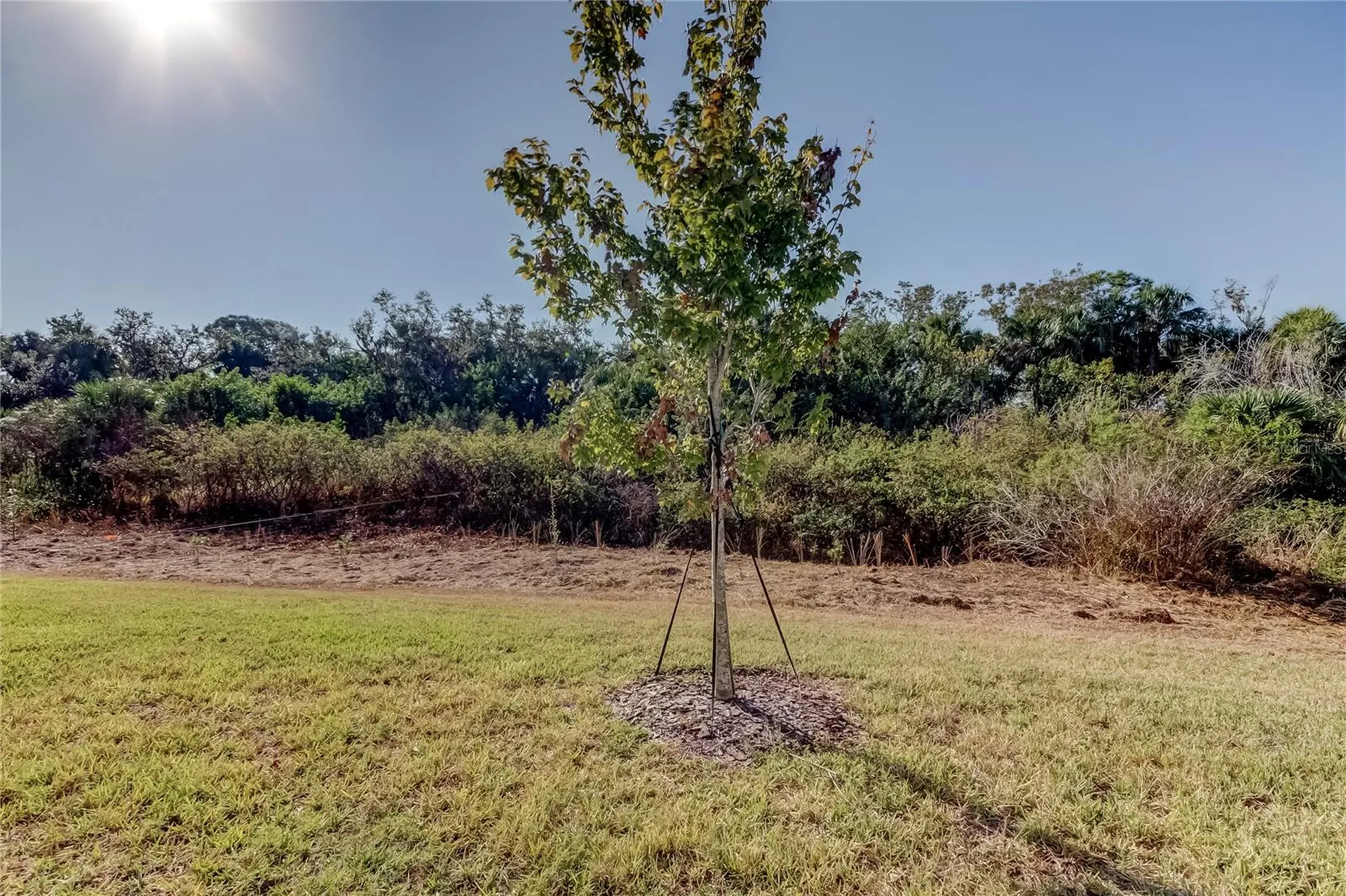 11633 Glenside Terrace Palmetto FL 34221