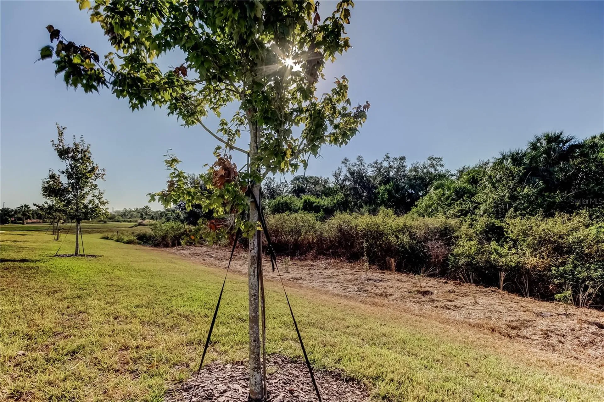 11633 Glenside Terrace Palmetto FL 34221