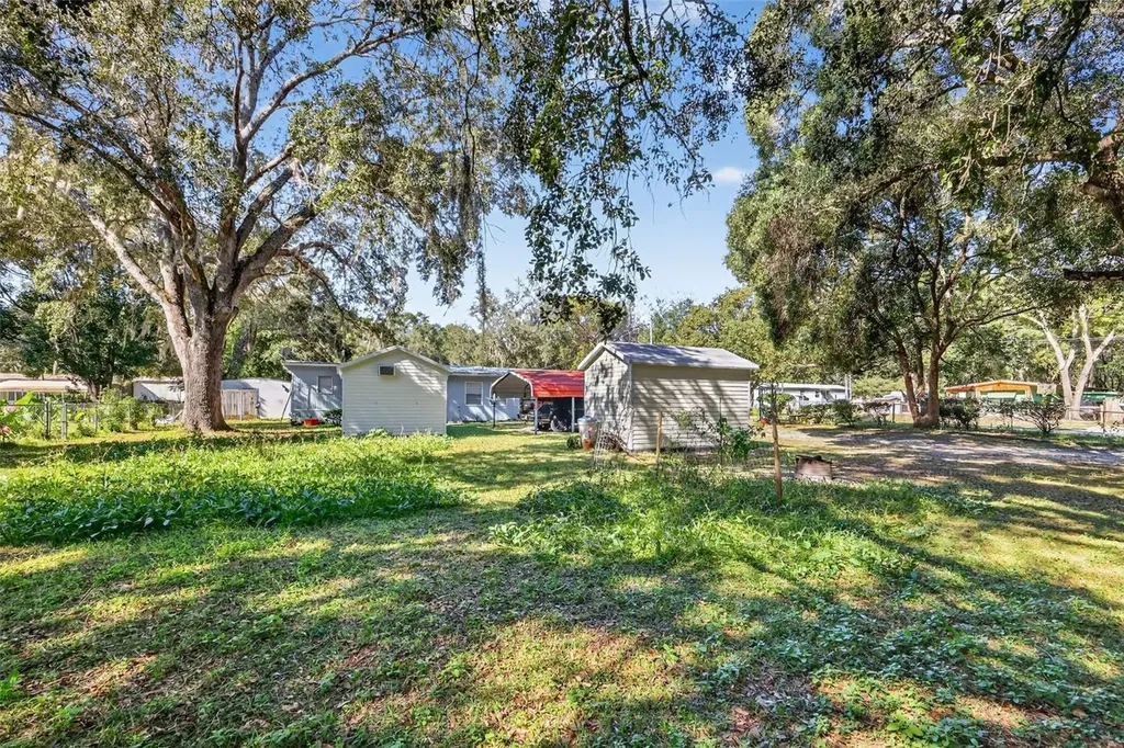 10438 SE 130th Place Ocklawaha FL 32179