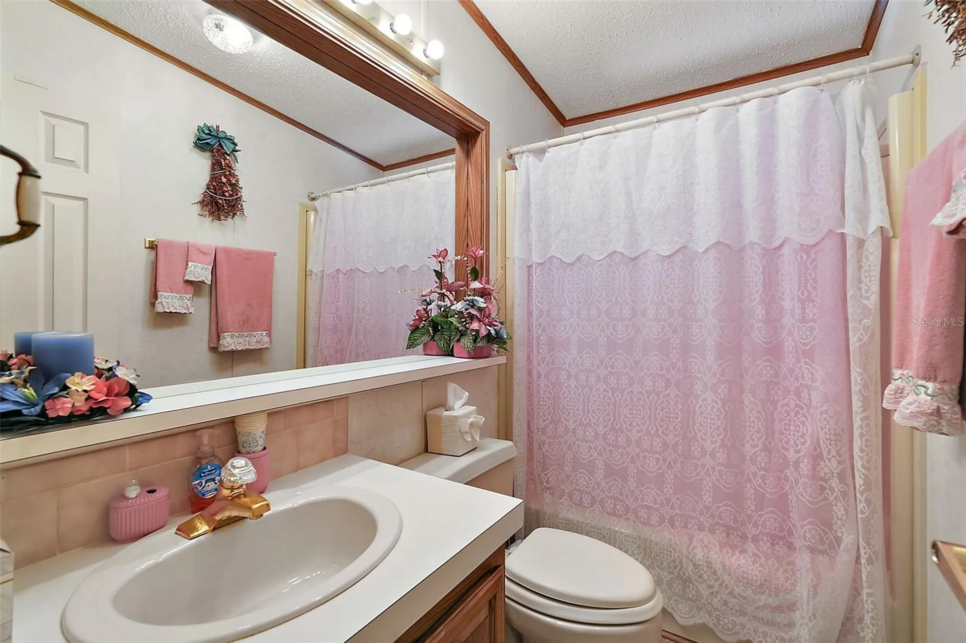 25504 Belle Alliance Leesburg FL 34748