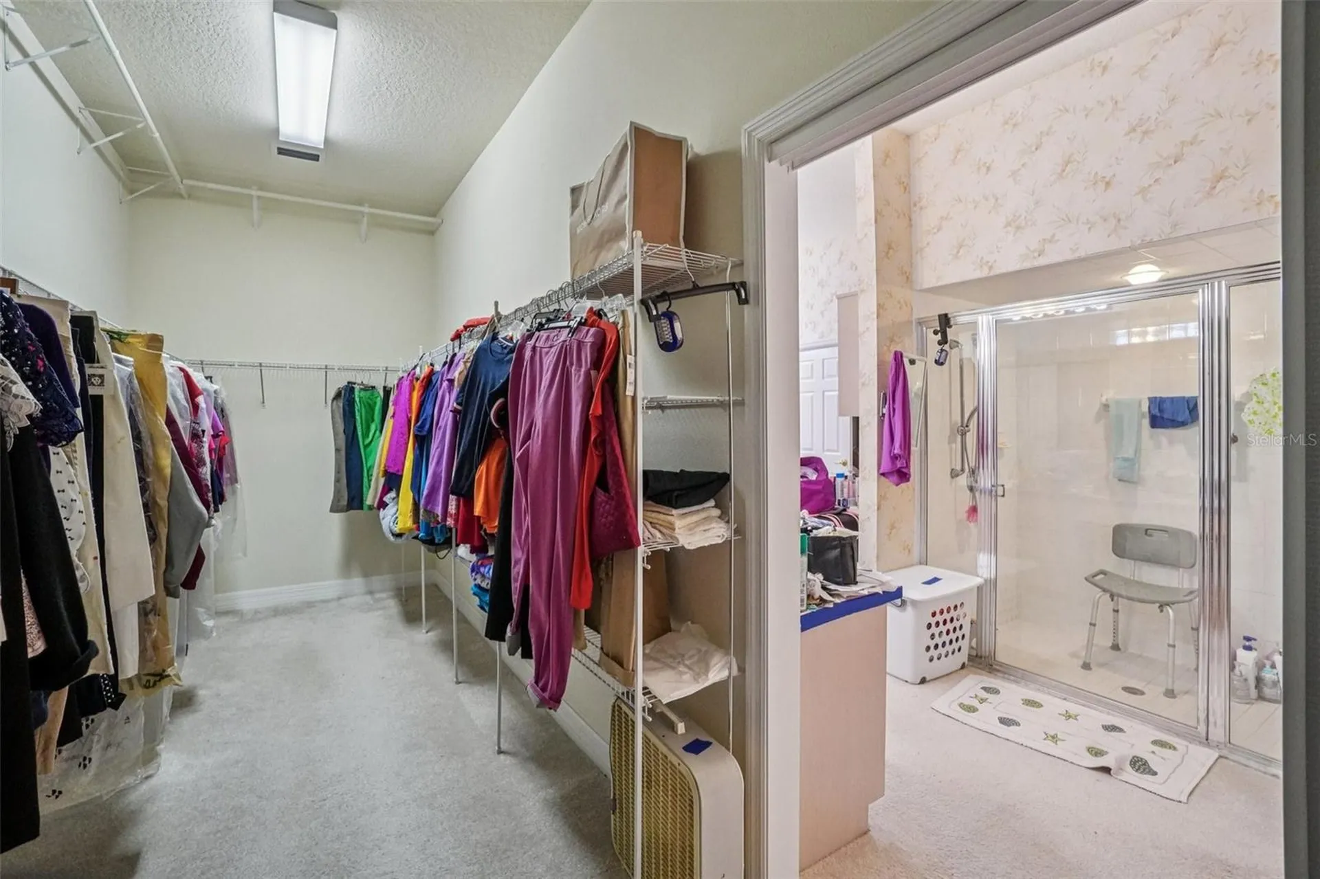 13750 Dowling Lane Odessa FL 33556