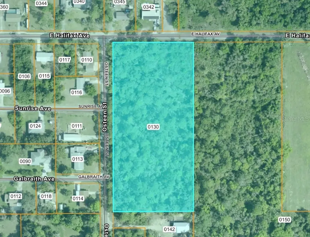 E Halifax Oak Hill FL 32759