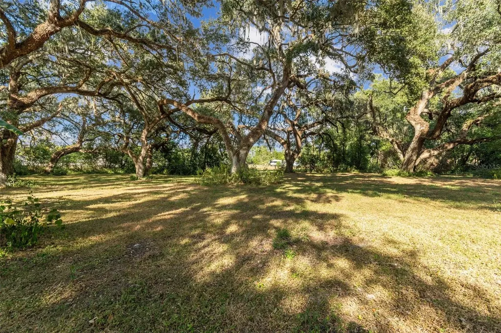 37440 Phelps Road Zephyrhills FL 33541