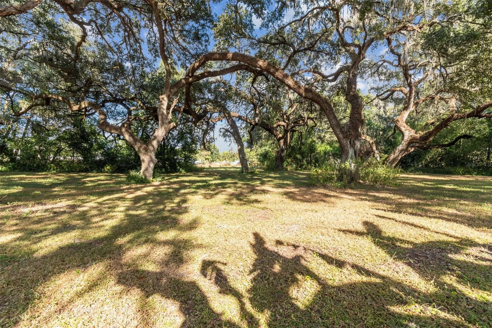 37440 Phelps Road Zephyrhills FL 33541